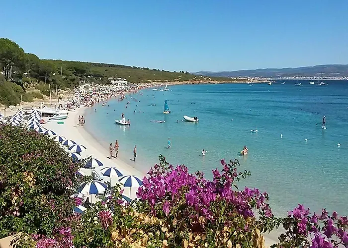 Apartment Seaside Comfort In The Heart Of